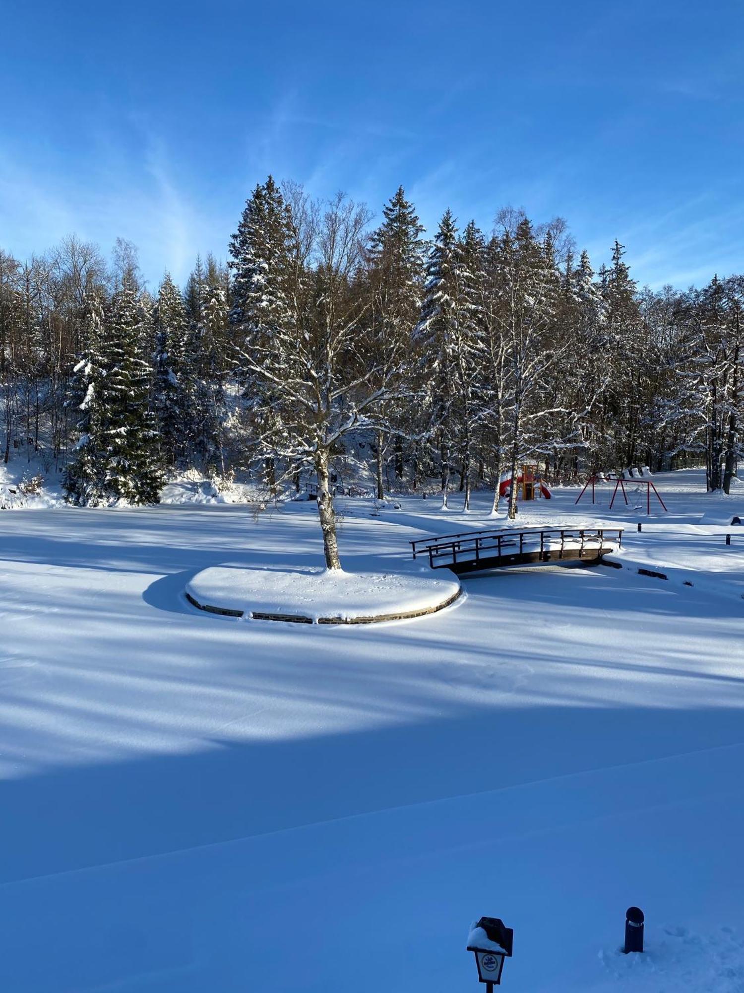 Das Waldseechalet Maerchenhafter Waldseeblick - Moderne Wohnung Mit Infrarotsauna ฮาสเซลเฟลเดอ ภายนอก รูปภาพ